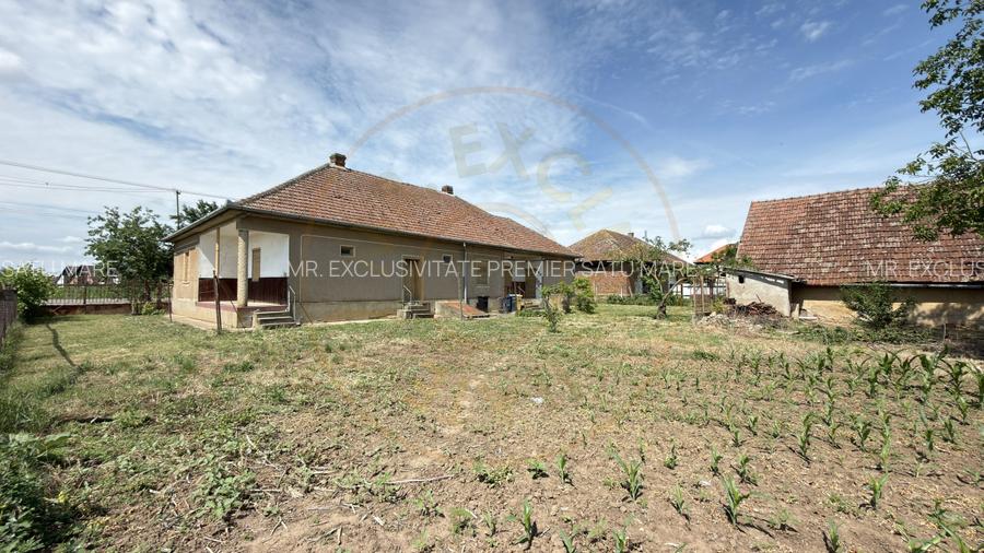 Casă 4 camere, Teren 1955 mp Str. Vezendiului Nr. 366 - Loc. Petrești, Satu Mare - 12