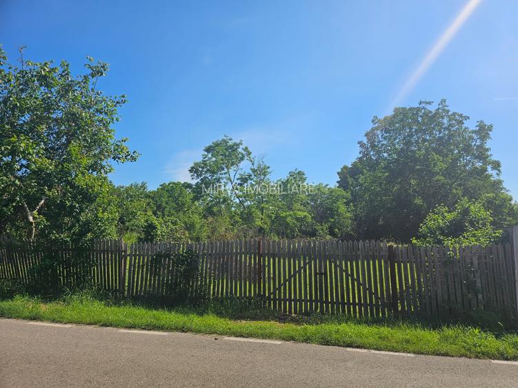 Teren 962 mp în Băicoi, Ideal pentru Casă sau Investiție - 3