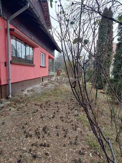 Casa vacanta Breaza - 8