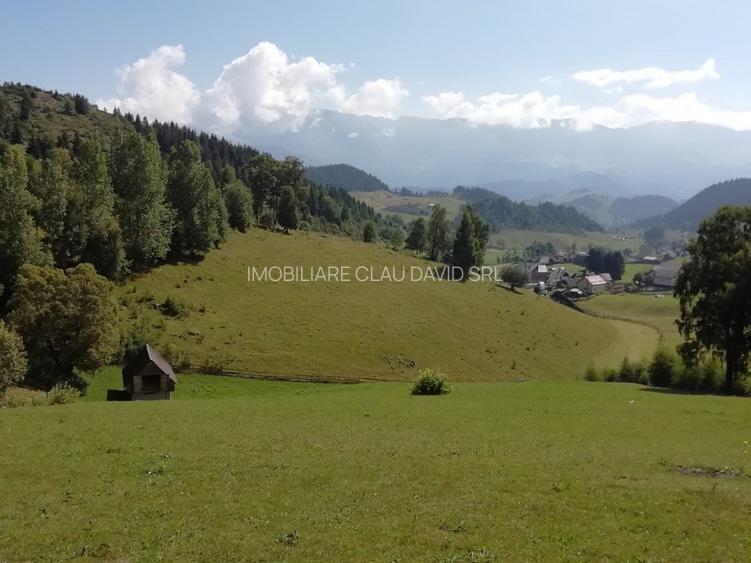 TEREN EXTRAVILAN SAT FUNDATA - 7