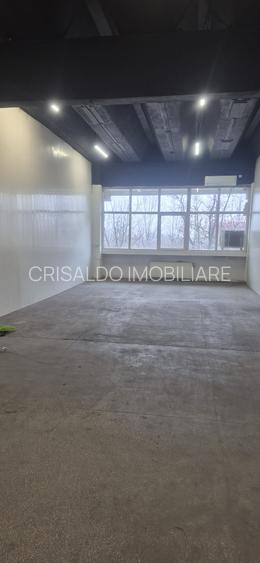 Spatii de depozitare Theodor Pallady - 6