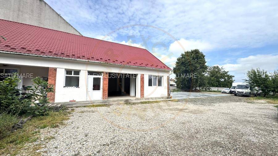 Inchiriere Spatiu Comercial 80 mp, Zona Kovi Ice - Str. Somes Nr. 12 Carei  - 6