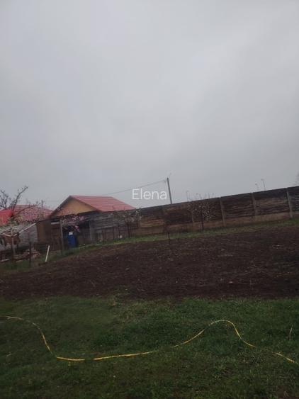  Casă spațioasă de vânzare în Macea, județul Arad – ideală pentru familie - 7