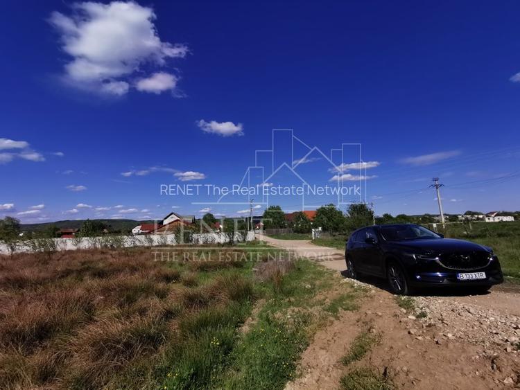 Oportunitate de Investiție - Teren de Basm in Bascov. DIRECT PROPRIETAR. - 12