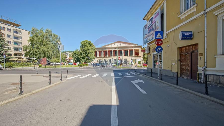 Studio modern in Centrul Istoric | Teatrul Dramatic - 21