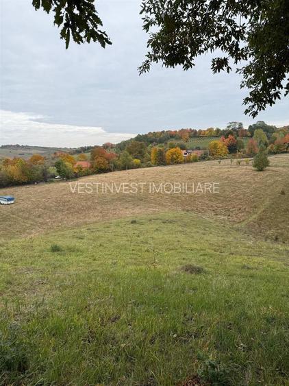 Teren intravilan 17,265 mp in Tomnatic comuna Vadu Crisului - 3