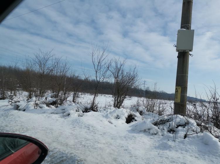 Teren langa padure - Sabareni - 5