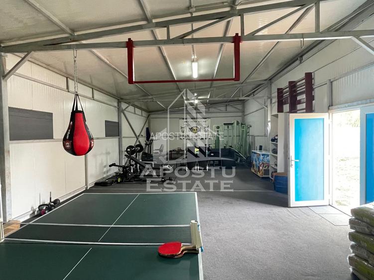 Vila superba central Carpinis - 18