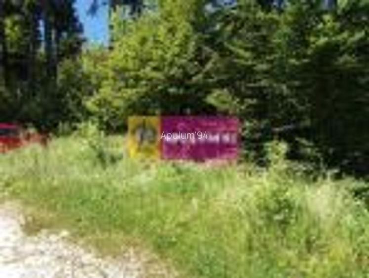 Teren Intravilan de Vanzare Sinaia - 3