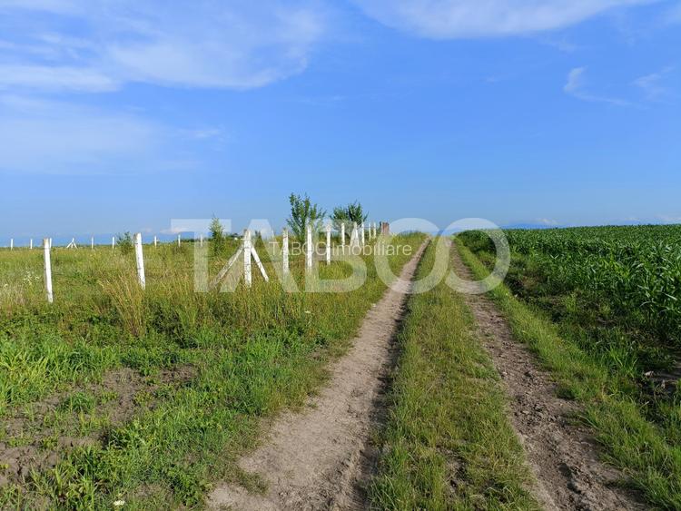 Teren 5000 mp in apropiere de case in Sura Mica - pretabil investitie - 2