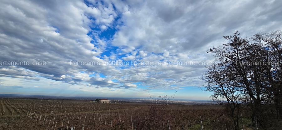 Casa de vacanta la vanzare   Beciu -Odobesti - 27