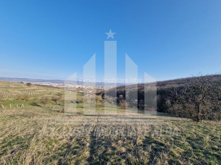 Teren intravilan | De vanzare | 1808 mp | 18 ml deschidere | Seigau - 3