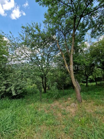 Balilesti - Stradal, casa spatioasa, 4600 mp teren intravilan - curte spatioasa - 23