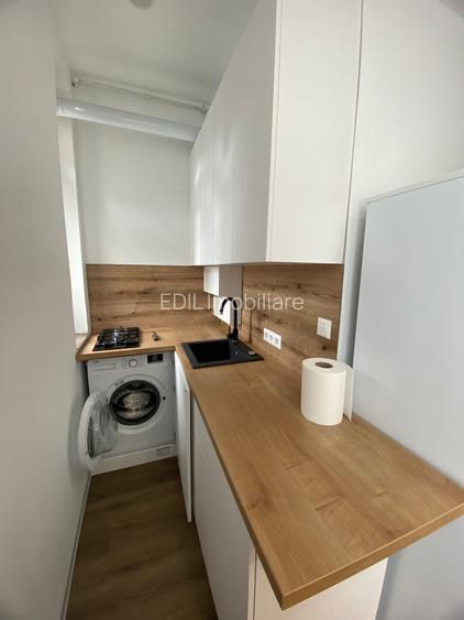 Apartament de închiriat, 2 camere, 50 mp, Horea zona UBB litere - 12