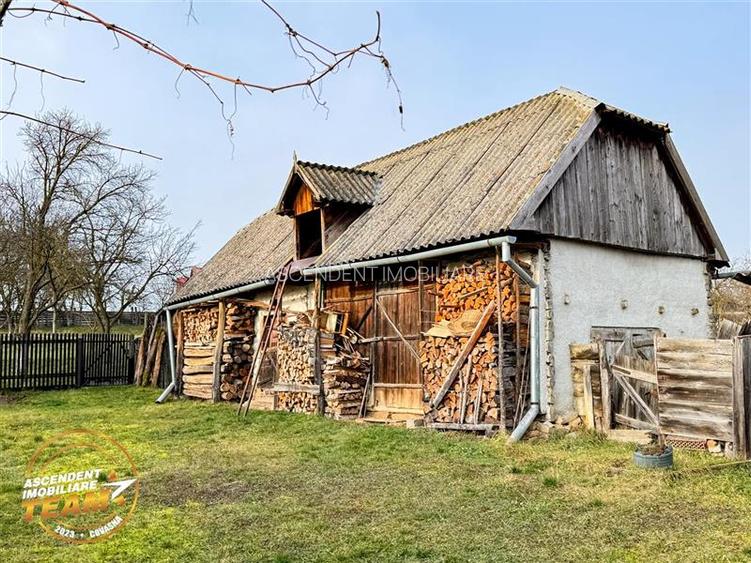 FILM! 5.000mp teren intravilan cu casuta rustica, Dalnic, Covasna - 50