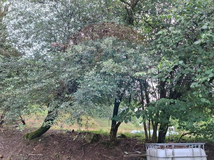 Teren de vânzare 990mp în Barzava, județul Arad - 5