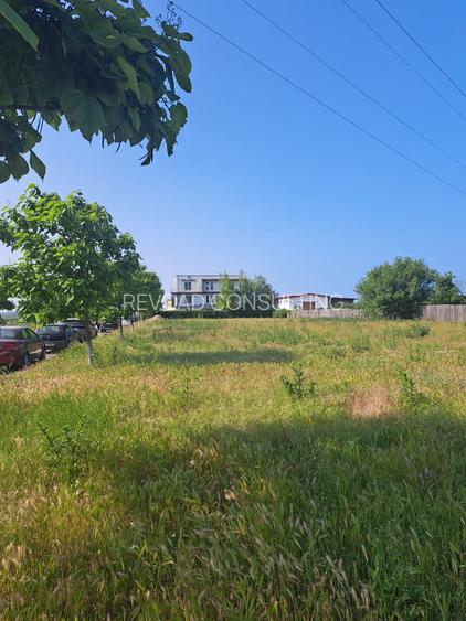 Teren Steaua de Mare 2 - 4