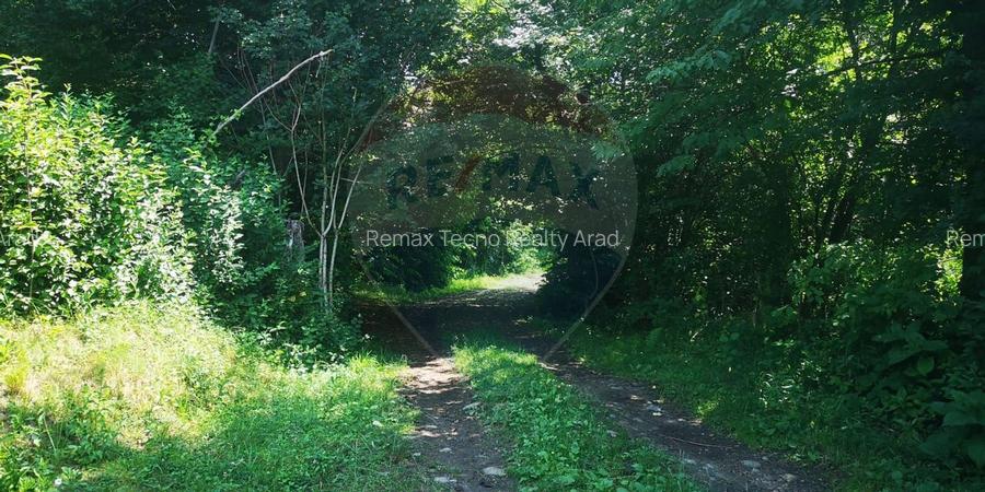 Teren 3,871mp Varmaga / None - 8