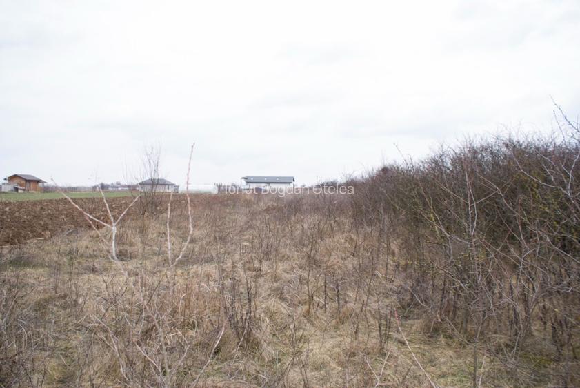 Teren intravilan de 982mp, comuna Adunatii Copaceni - 6