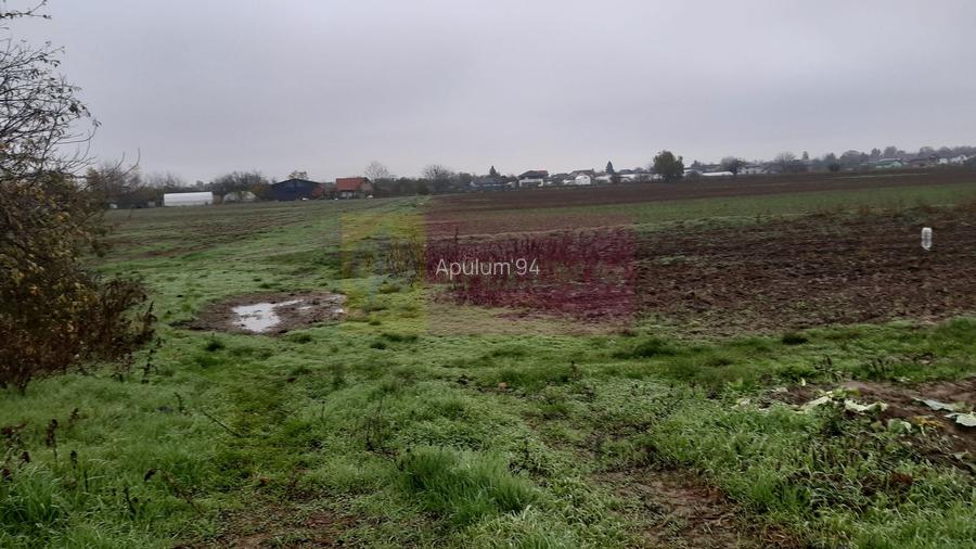 Teren Investiție aproape de București - 9
