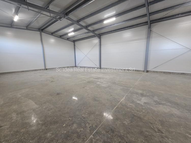 Hale noi depozitare Lugoj diferite dimensiuni 115 mp - 530 mp utili!! - 2