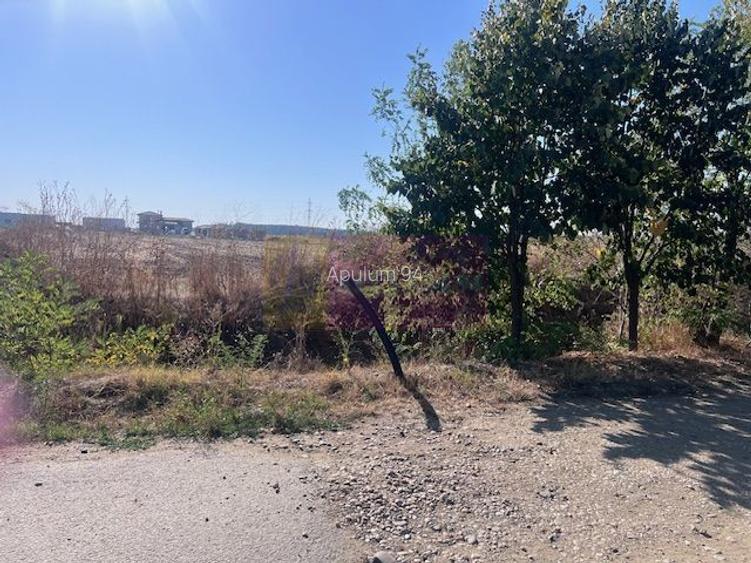 Teren Cornetu Strada Magnoliei- Pinului. - 4