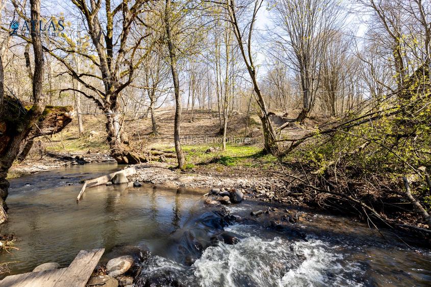 Vile turistice, locație montană superbă, la marginea pârâului,  2600 mp teren - 12