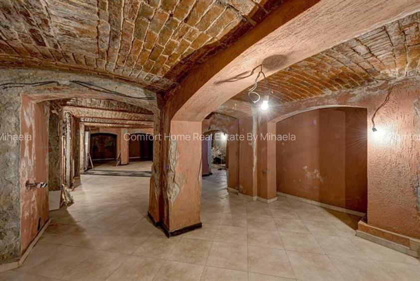 Cișmigiu Închiriez spațiu comercial stradal parter&demisol 200 mp centrală 380v - 4