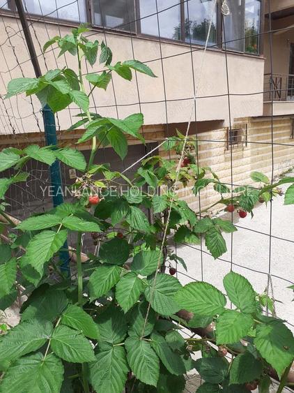 APARTAMENT 2 CAMERE GHEORGHE IONESCU-SISESTI - 9