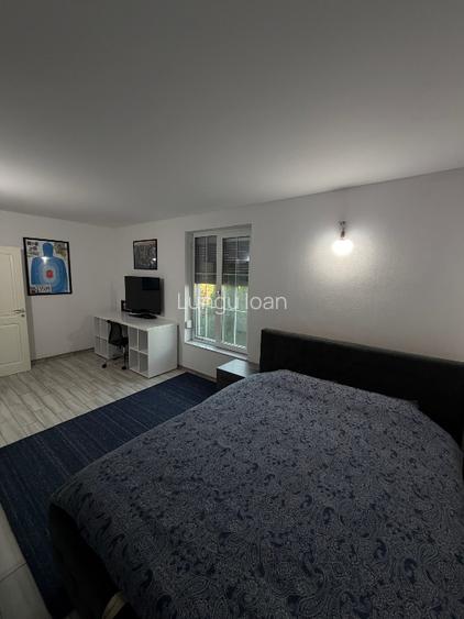 Casă + spațiu comercial de vânzare – proprietar persoană fizică – teren  - 13