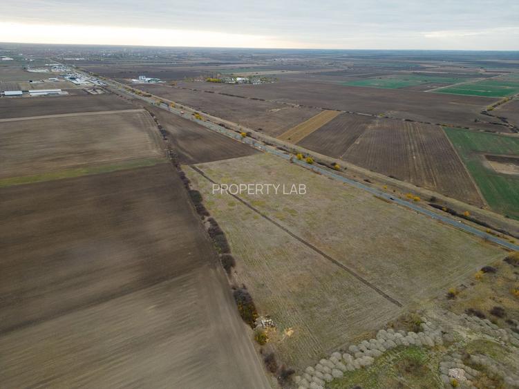 Teren 22.500 mp–Pecica, jud. Arad,Posibilitate PUZ - 2