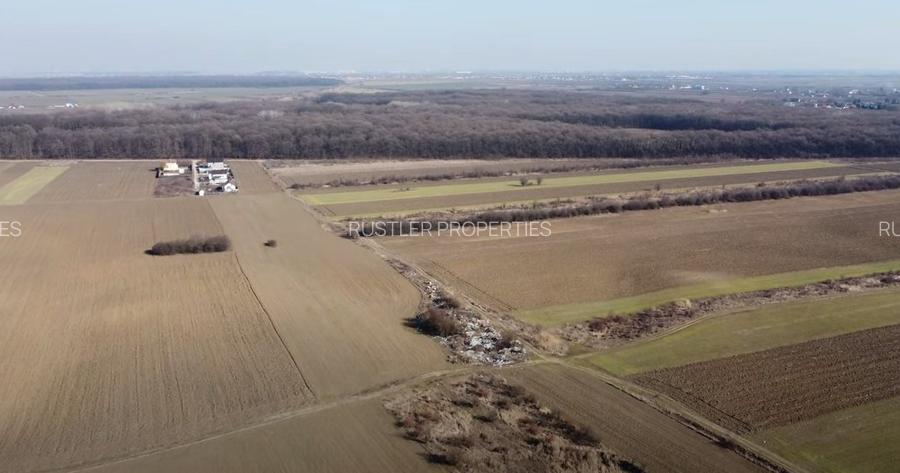 Teren de Vanzare pentru Dezvoltare Imobiliara in Bolintin-Deal - 3