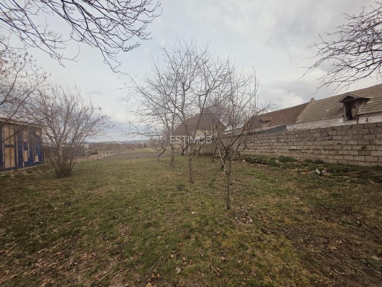 Vand casa saseasca 4 camere cu teren generos 1900mp - 22