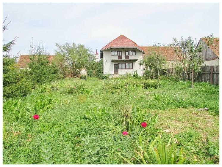 Casa deosebita cu gradina generoasa Vladeni - 5