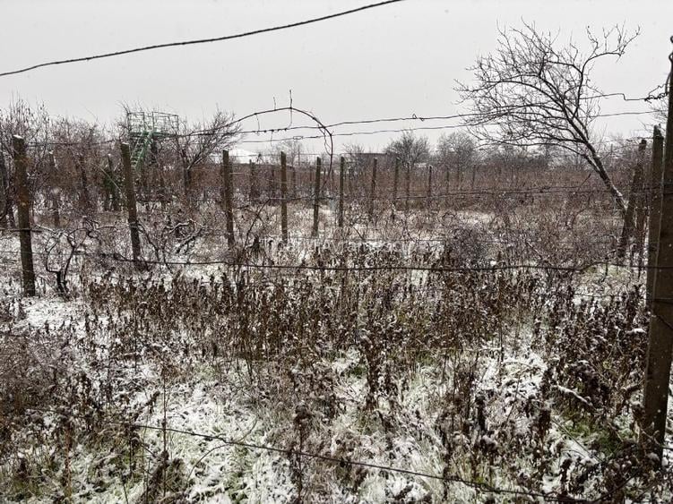 Vand gospodarie taraneasca traditionala - 6