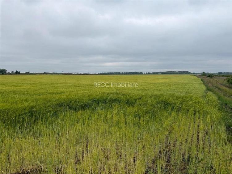 RECO teren extravilan 6400 mp cu dubla deschidere la strada - acces din Dex 16 - 2