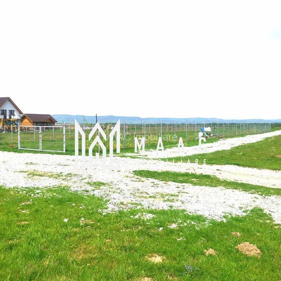 Teren Extravilan | 8.000 MP | Utilități | Acces Facil | Zona Valea Avrigului - 2