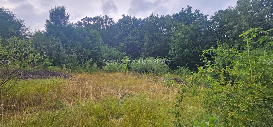 Vand de constructii situat la sosea in Tropinii Noi, cu PUZ, - 8