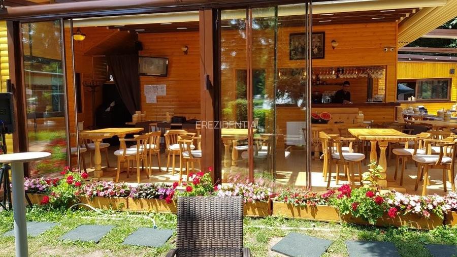 Spatiu  comercial -Parc Herastrau - 2