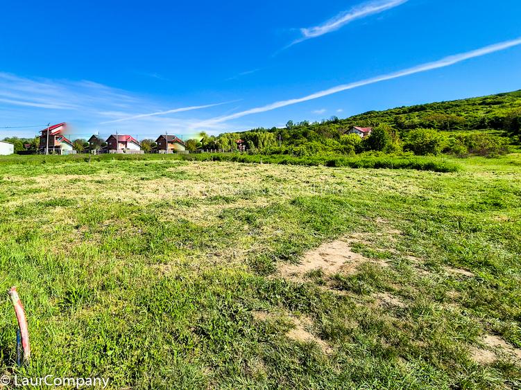 Teren intravilan Vranesti , Calinesti Arges - 4