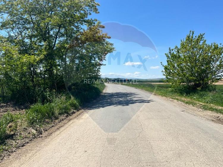 Casă / Vilă cu 5 camere de vânzare - 5