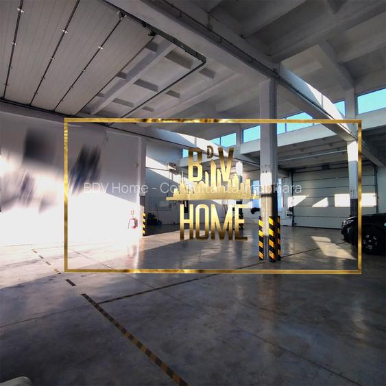 Spatiu PREMIUM Constanta Centru HALA SI BIROURI - 8