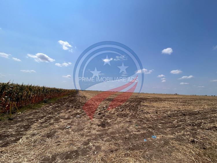 Teren intravilan de vanzare in Pielesti - 4