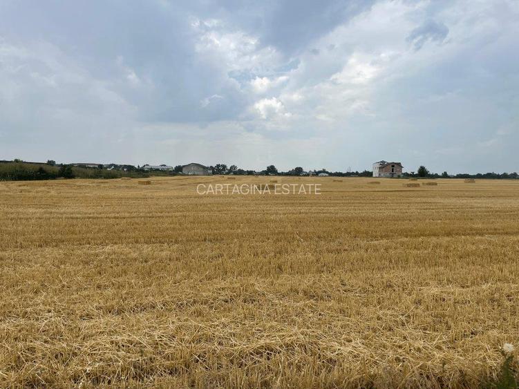 TEREN INTRAVILAN ÎN BALOTESTI -9041MP   FS 40ML    LÂNGA THERMEE - 4