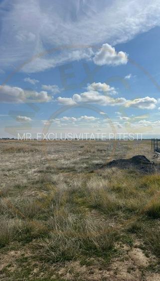 Teren 10000 mp - Albota Papillon, zona industriala in plina dezvoltare - 2