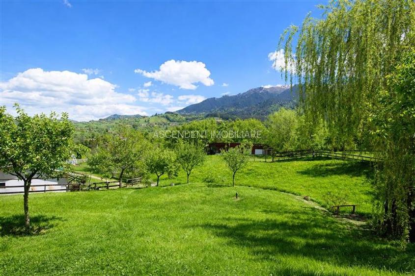 Pensiune:3 km de Castelul Bran, 2.900mp teren, aviz ISU, predare la cheie - 15