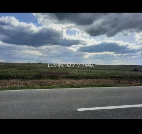 Vand teren in Sanmihaiu Roman - 2