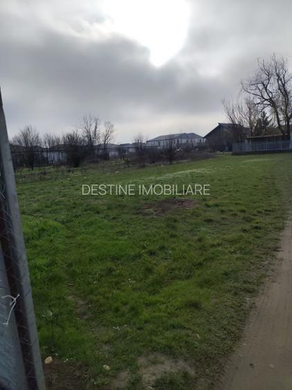 TEREN DE VANZARE DOMNESTI, 600 mp - 8