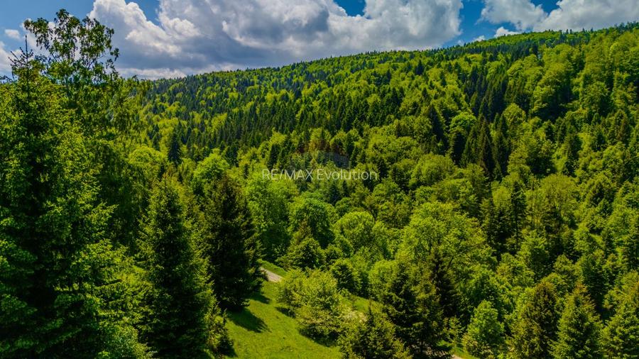 Teren extravlan 14,400mp Paraul Rece / Strada 3 brazi - 11