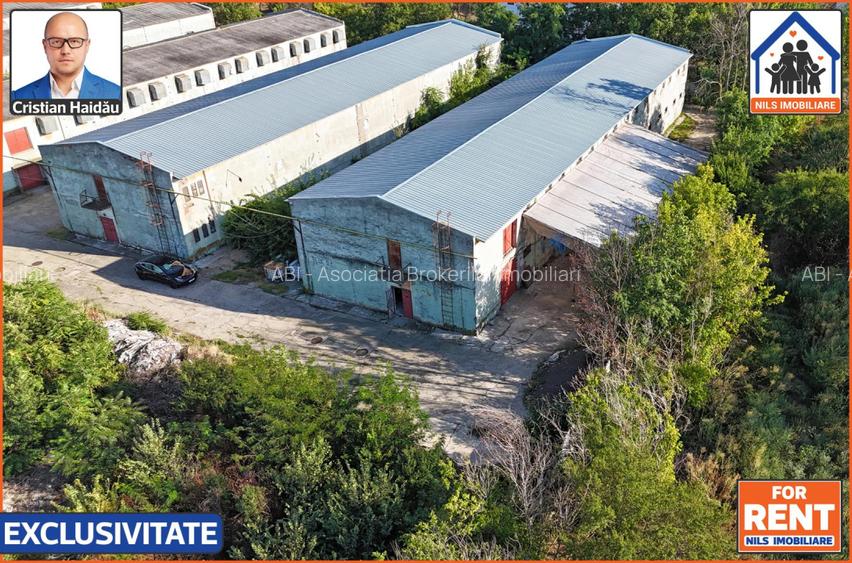 Hale de inchiriat in 1 Decembrie Ilfov | NILS Imobiliare - 2